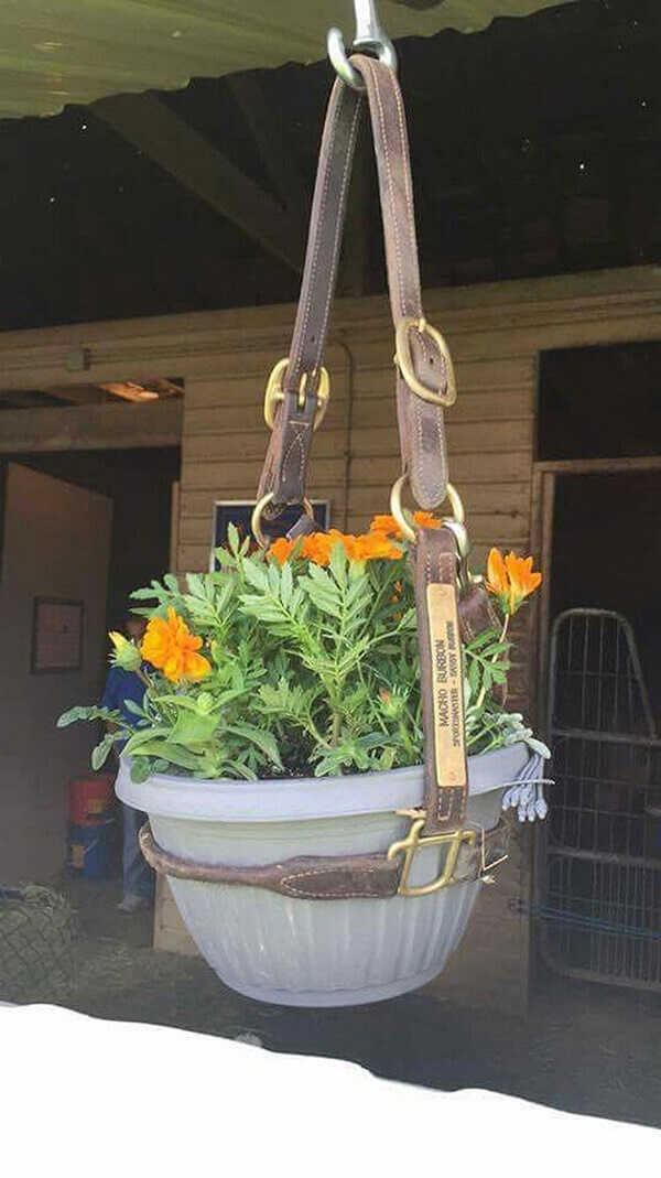 Ways to Reuse old Belts to Decor your House