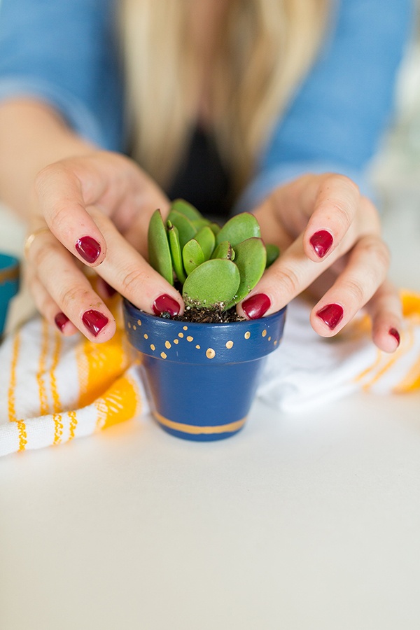 Cute Miniature Pottery Examples to Try