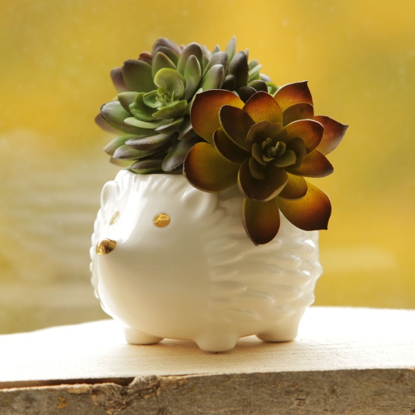 Cute Miniature Pottery Examples to Try