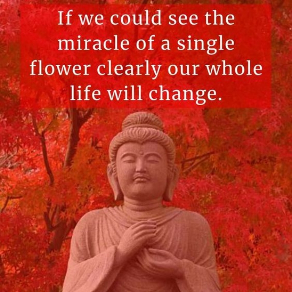 Life-Changing Buddha Quotes For those Down Moments