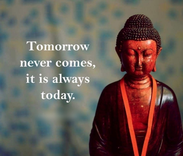 Life-Changing Buddha Quotes For those Down Moments