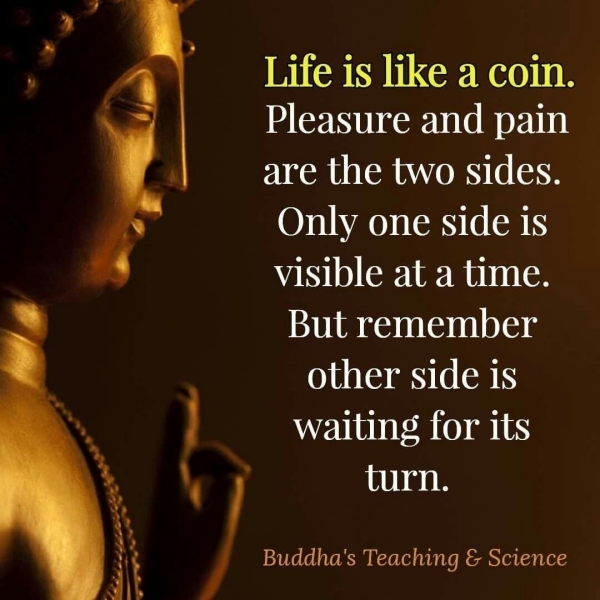 Life-Changing Buddha Quotes For those Down Moments