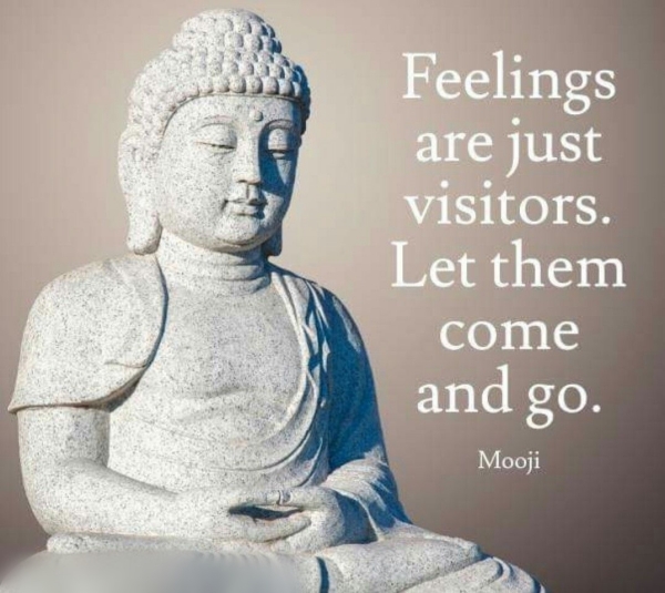 Life-Changing Buddha Quotes For those Down Moments