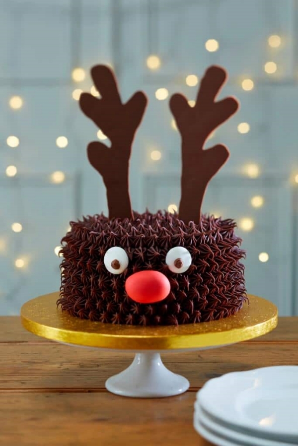 Stunning Christmas Cake Decoration Ideas