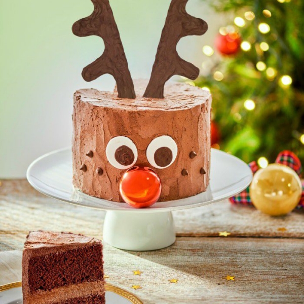 Stunning Christmas Cake Decoration Ideas