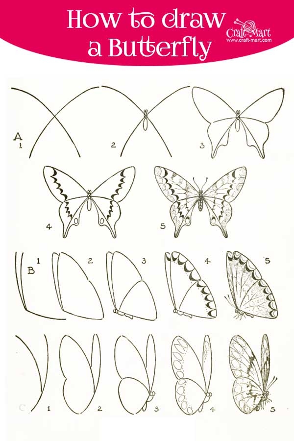 Beautiful Simple Butterfly Drawings In Pencil