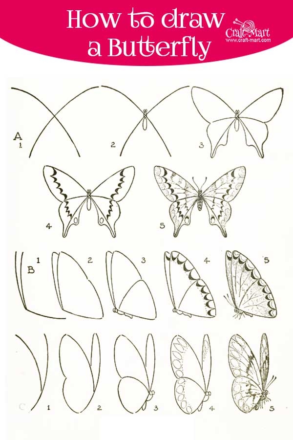 butterfly drawings in pencil side view