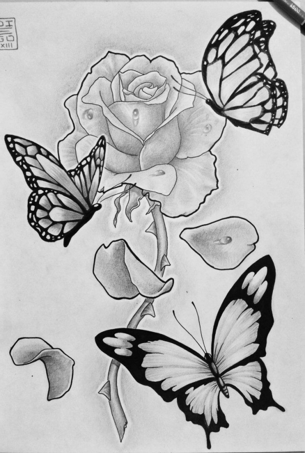 Beautiful Simple Butterfly Drawings In Pencil