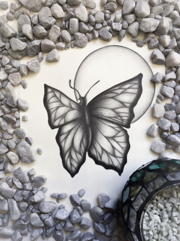 Beautiful Simple Butterfly Drawings In Pencil