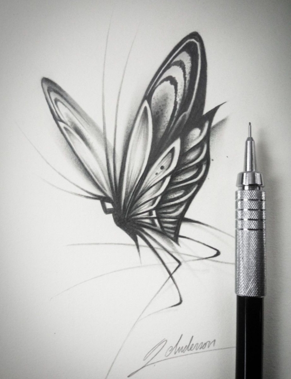 Beautiful Simple Butterfly Drawings In Pencil