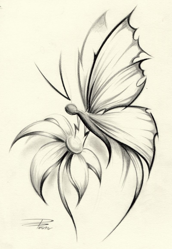 Beautiful Simple Butterfly Drawings In Pencil