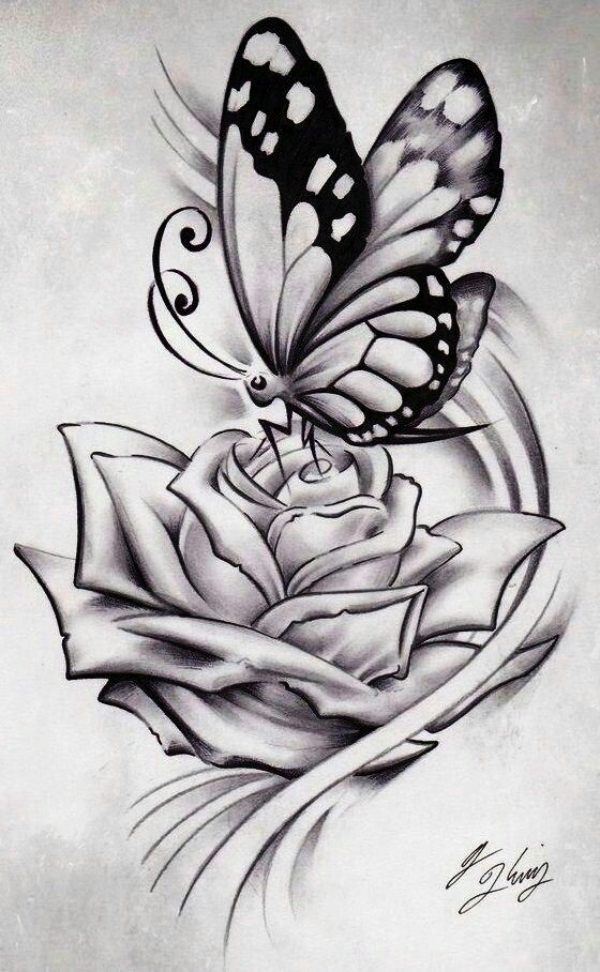 Beautiful Simple Butterfly Drawings In Pencil