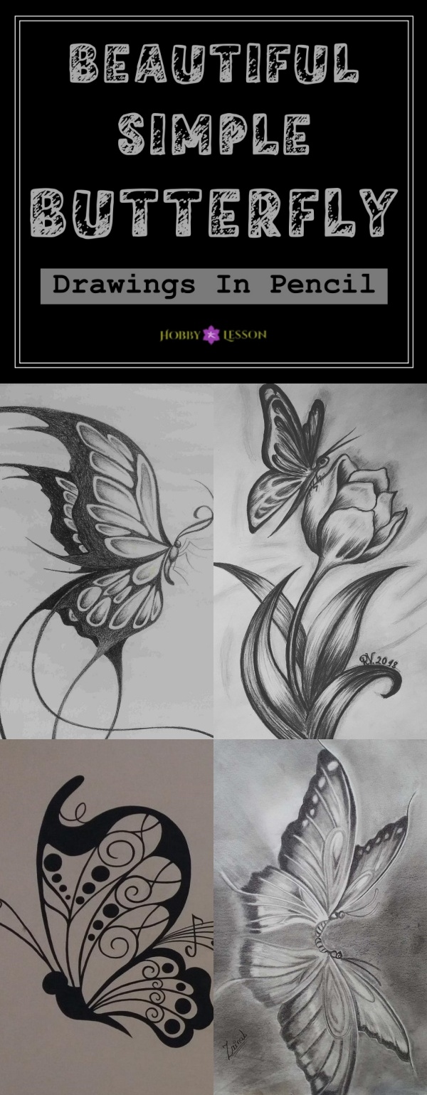 Beautiful Simple Butterfly Drawings In Pencil