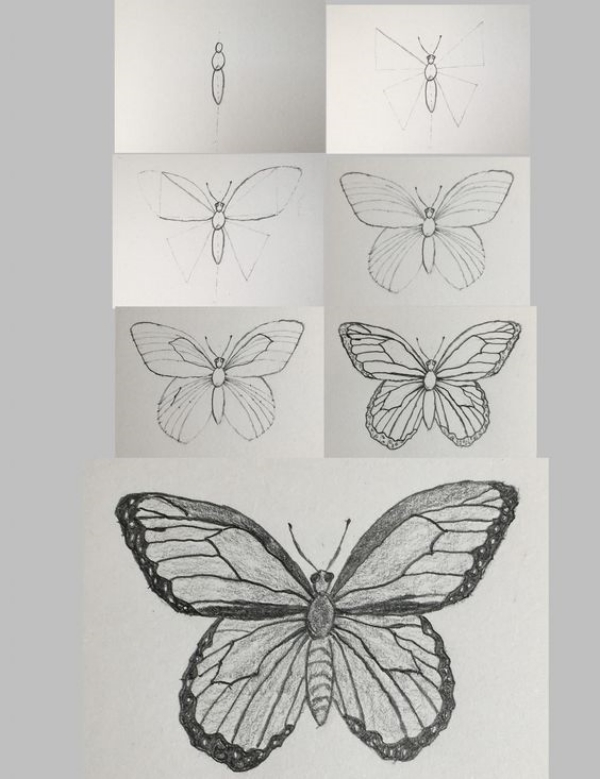 Beautiful Simple Butterfly Drawings In Pencil