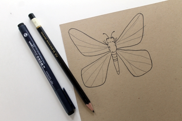 Beautiful Simple Butterfly Drawings In Pencil