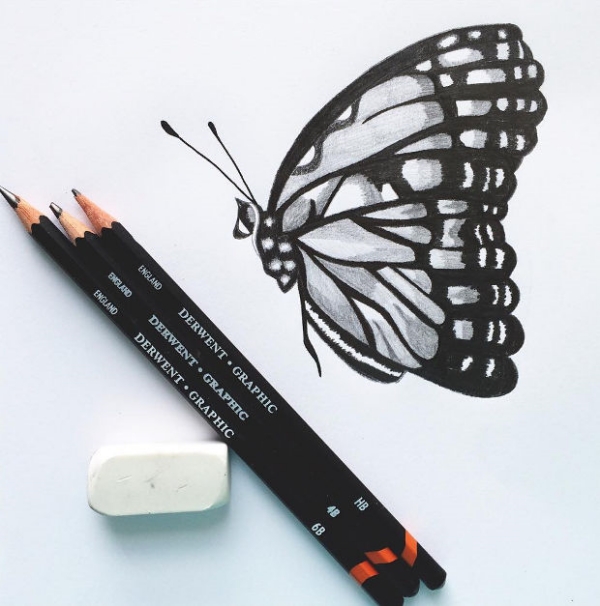 Beautiful Simple Butterfly Drawings In Pencil