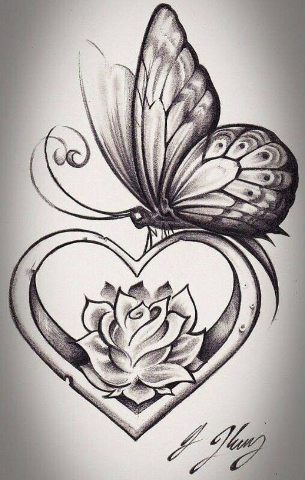 Beautiful Simple Butterfly Drawings In Pencil