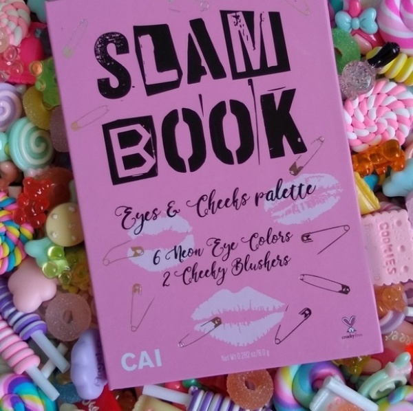 10 DIY Ideas for Slam Book Hobby Lesson