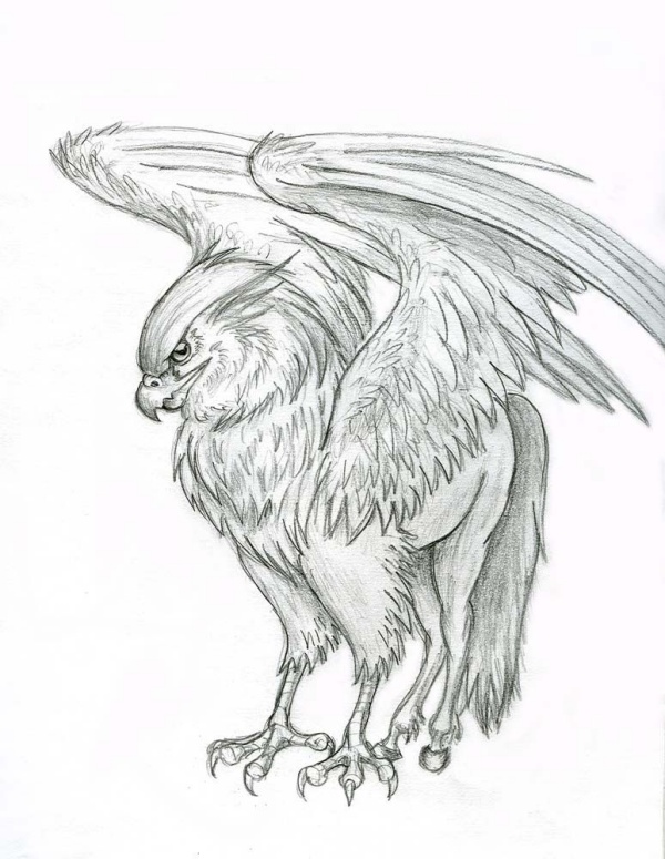 harry potter creatures drawings