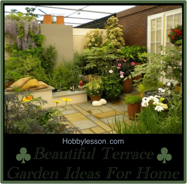 Beautiful Terrace Garden Ideas For Home