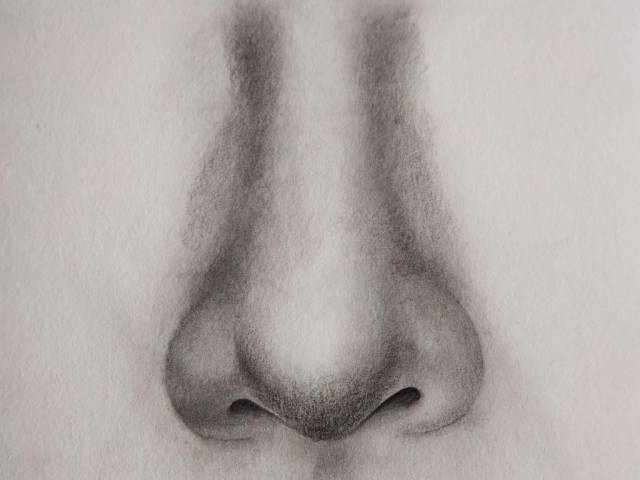 How to draw a nose