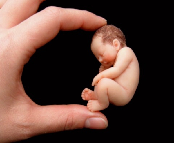 Tiny Baby Sculptures