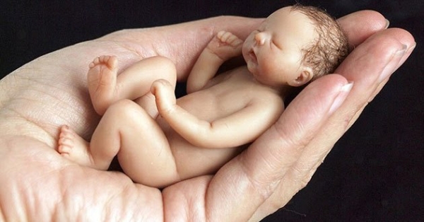 Tiny Baby Sculptures