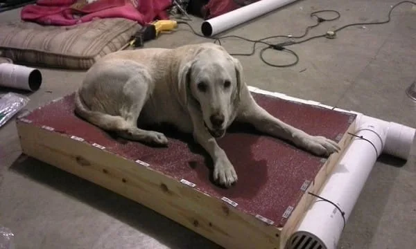 DIY Redneck Air Conditioned Dog Bed Tutorial Feature Image