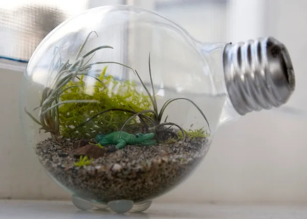 19 Brilliant Ways to Repurpose Old Light Bulbs 11