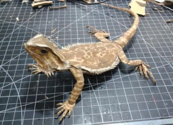 30 Amazing Cardboard Sculptures 37
