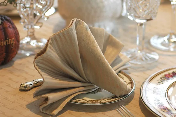 30 Creative Napkin Folding Ideas 17