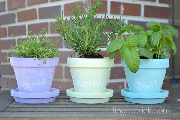 30 Flower Pot Painting Ideas 15