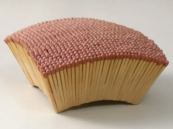 35 Experimental Matchstick Art Ideas 33
