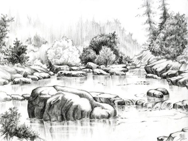 Nature Pencil Sketches Gallery