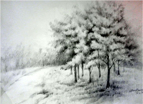 40 Incredible Pencil Drawings of Nature you have never seen before 34