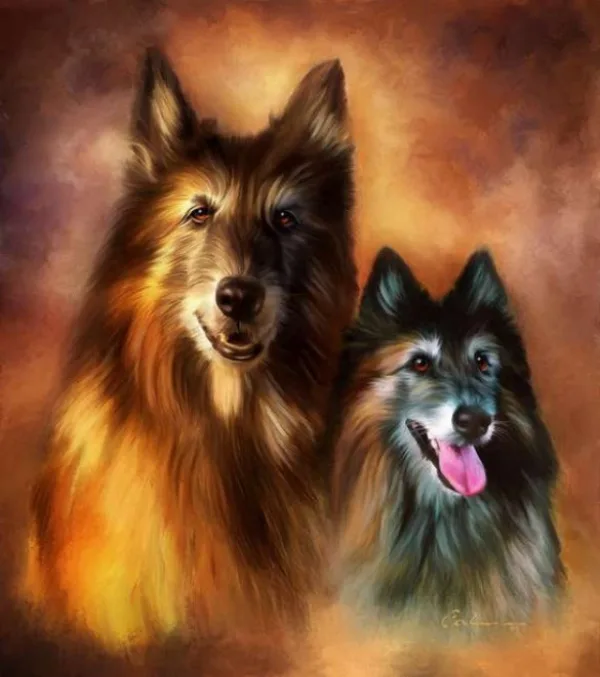 Oil Painting On Canvas00014
