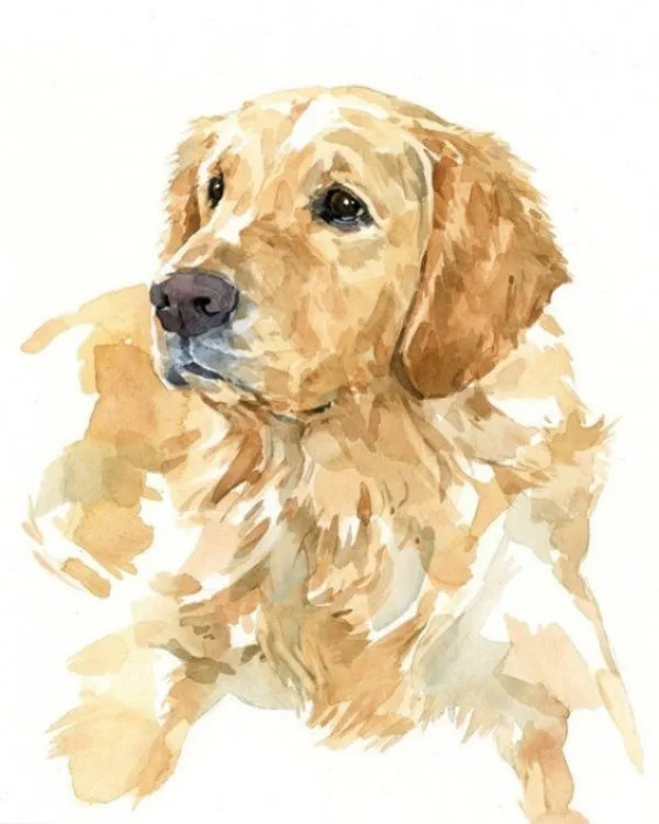Examples-of-Watercolor-Paintings