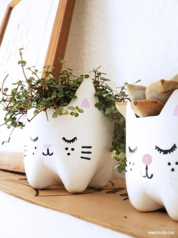 Reuse Waste Plastic Bottles