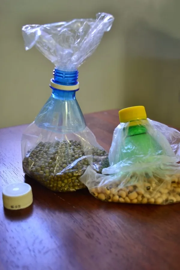 Reuse Waste Plastic Bottles