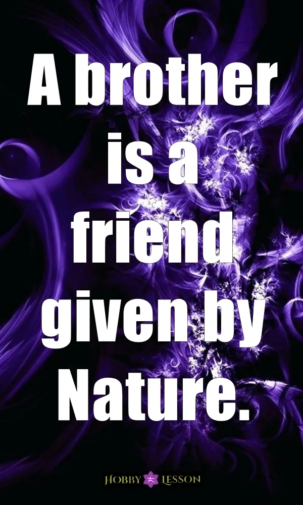 Cute Brother and Sister Quotes and Sayings
