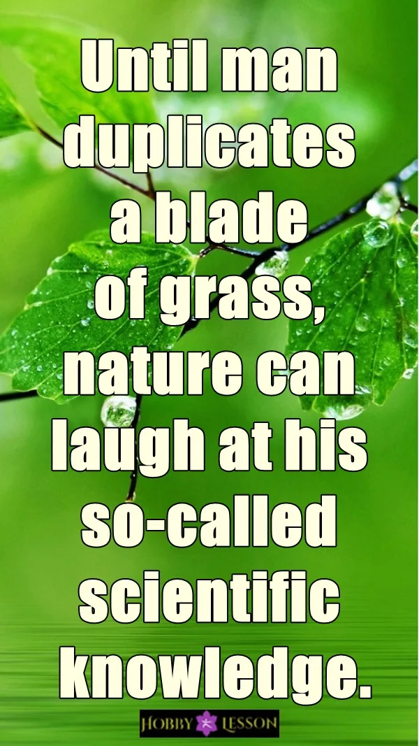 Strong Save Earth Slogans and Sayings