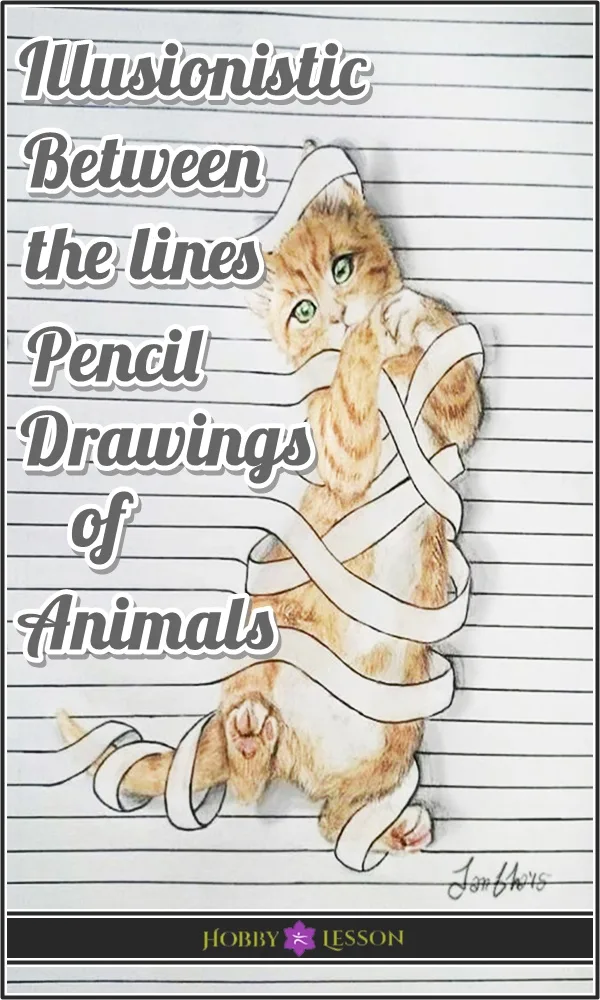 Illusionistic Between the lines Pencil Drawings of Animals