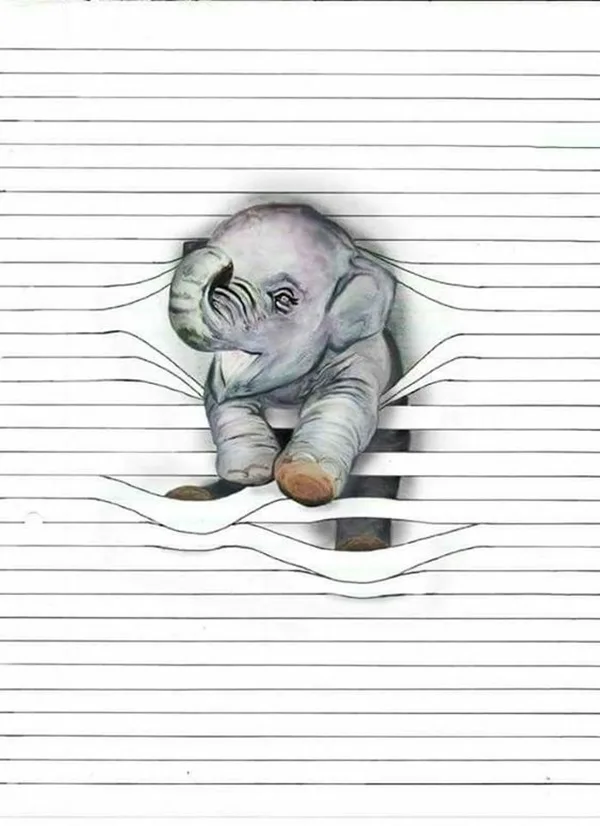 Illusionistic Between the lines Pencil Drawings of Animals