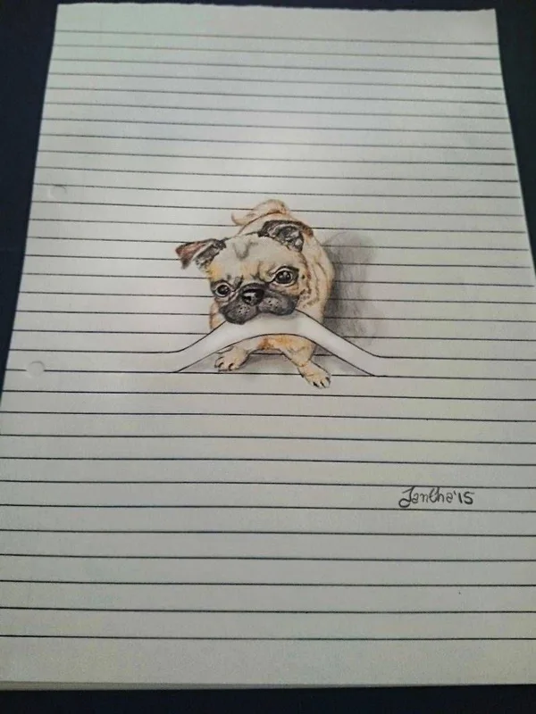 Illusionistic Between the lines Pencil Drawings of Animals