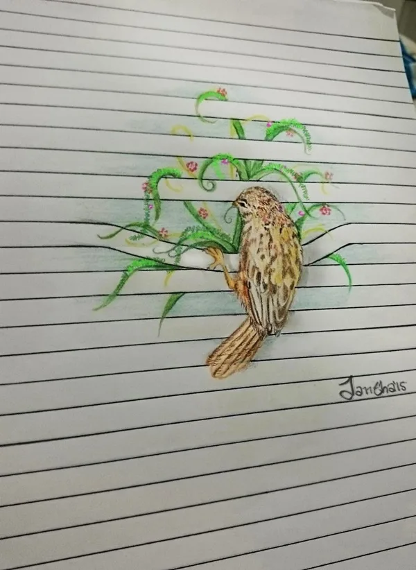 Illusionistic Between the lines Pencil Drawings of Animals