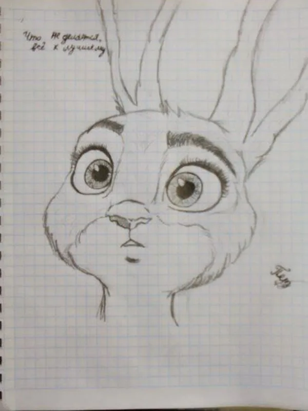 Illusionistic Between the lines Pencil Drawings of Animals