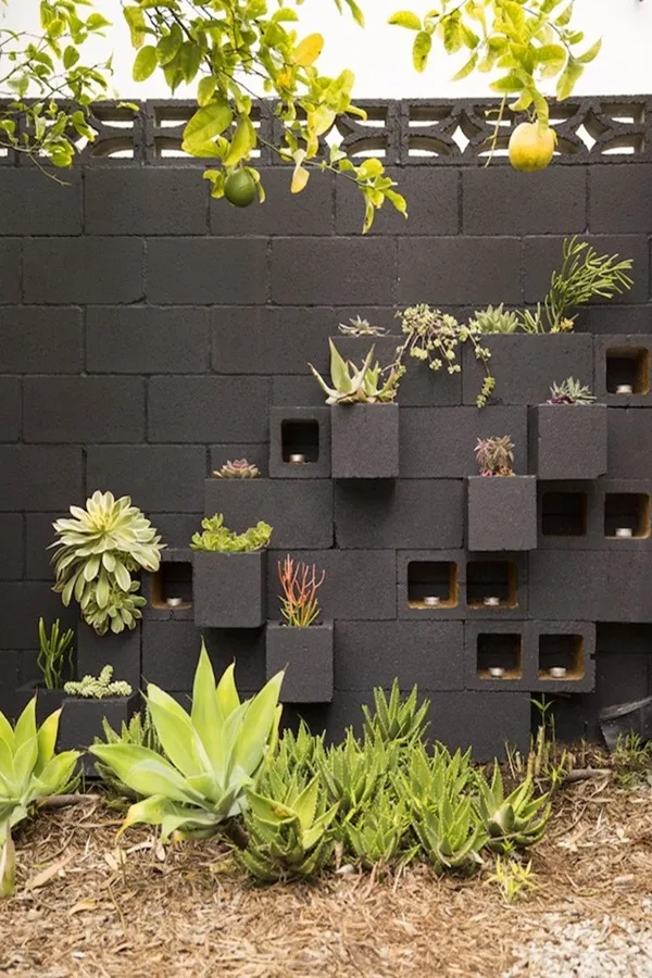Decorative Cinder Block Planter Ideas