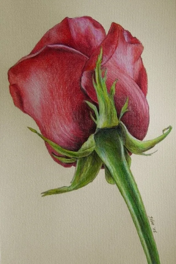 Speaking Colored Pencil Drawings