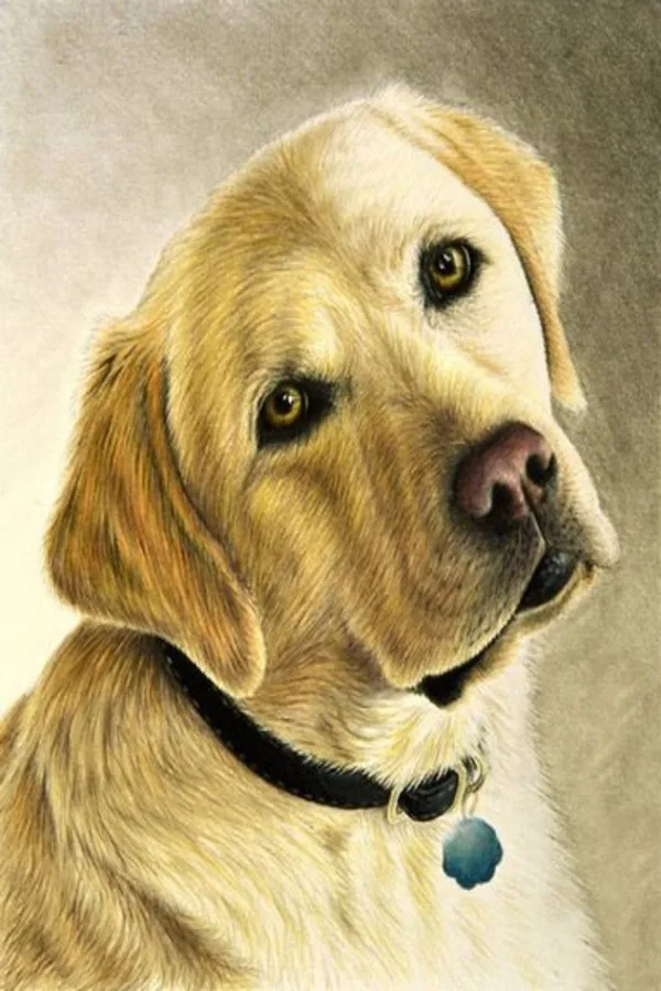Speaking Colored Pencil Drawings