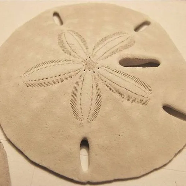Turning Beach Findings into Craft